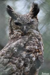 Vogelpark Niendorf
