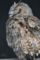 Vogelpark Niendorf