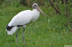 Vogelpark Niendorf