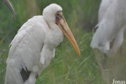 Vogelpark Niendorf