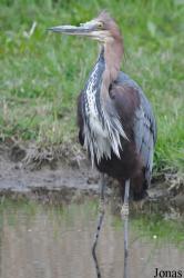 Vogelpark Niendorf