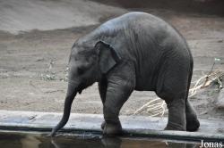 Tierpark Hagenbeck