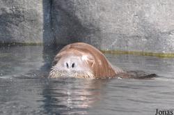 Tierpark Hagenbeck