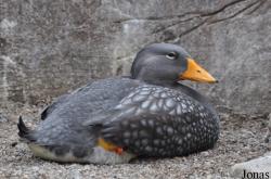 Tierpark Hagenbeck