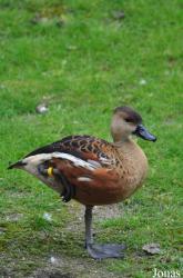 Tierpark Hagenbeck