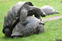 Tierpark Hagenbeck