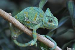 Tierpark Hagenbeck