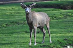 Wildpark Eekholt