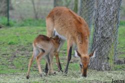 Serengeti Park Hodenhagen