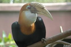 Senda El Retiro