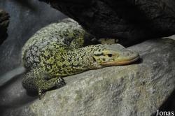 Zoo d'Amnéville