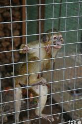 Zoo de Castellar