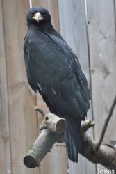 Zoo d'Amnéville