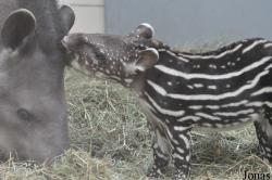 Zoo d'Amnéville
