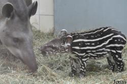 Zoo d'Amnéville