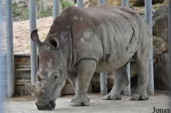 Zoo d'Amnéville
