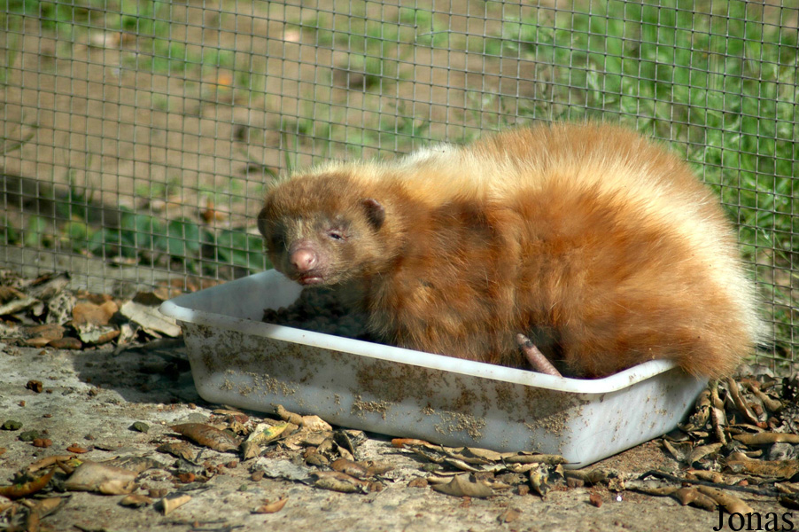 Zoo de Castellar