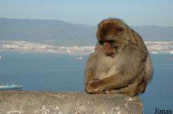 Gibraltar