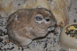 Björn Jordan Breeding Centre (P)