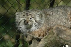 Parc Zoologique et Botanique de Mulhouse