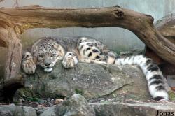 Parc Zoologique et Botanique de Mulhouse
