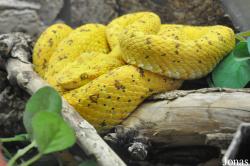 Reptilienzoo Regensburg