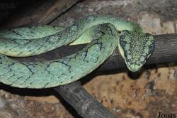 Reptilienzoo Regensburg
