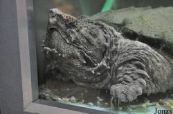 Reptilienzoo Regensburg