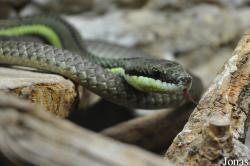 Reptilienzoo Regensburg