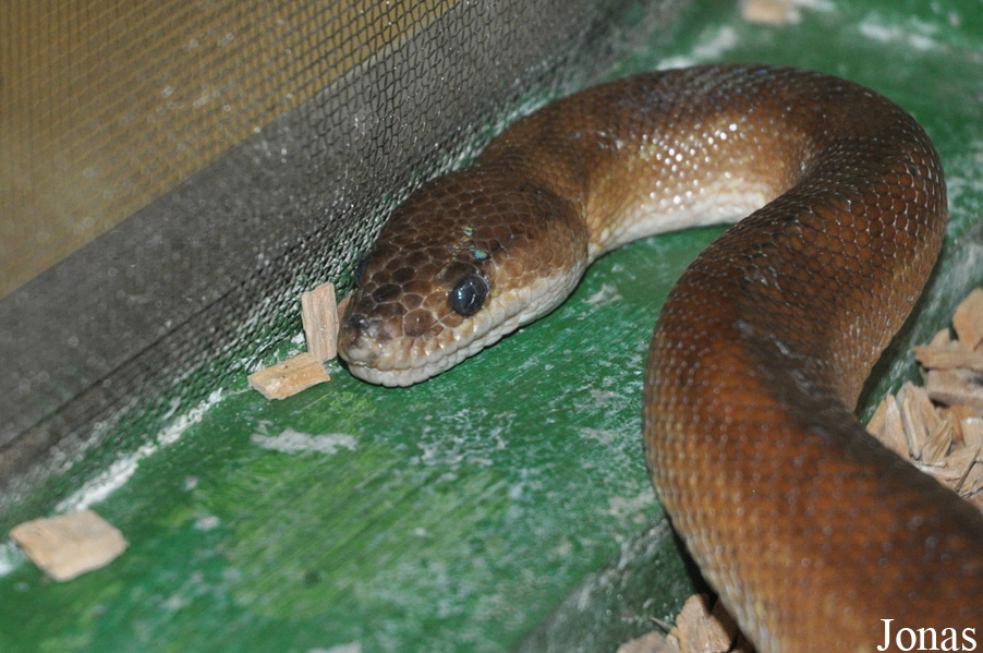 Reptilienzoo Regensburg