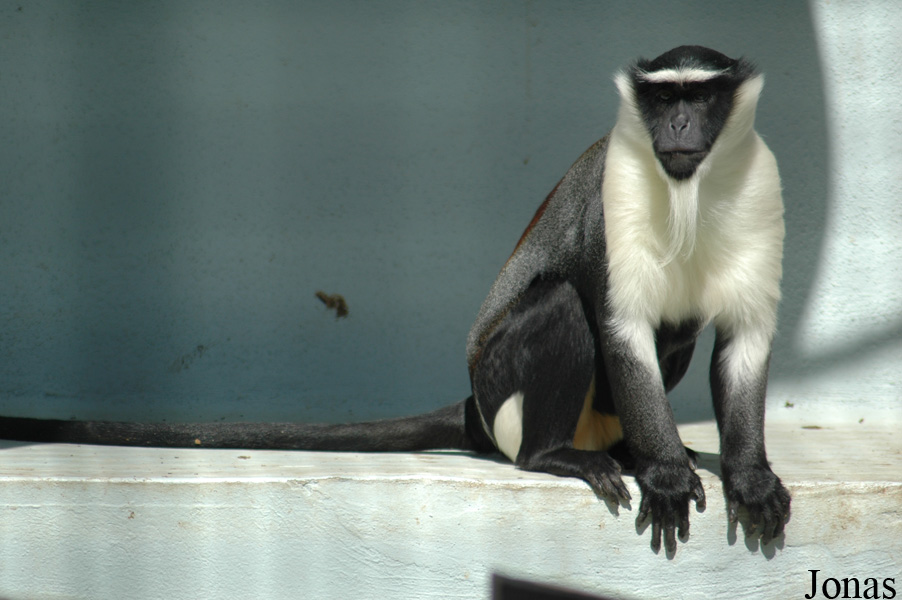 Parc Zoologique et Botanique de Mulhouse