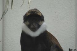 Parc Zoologique et Botanique de Mulhouse
