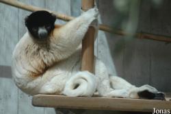 Parc Zoologique et Botanique de Mulhouse