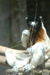 Parc Zoologique et Botanique de Mulhouse