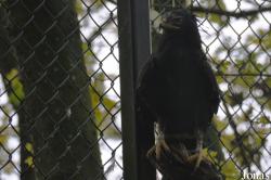 ZooParc de Beauval
