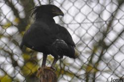 ZooParc de Beauval