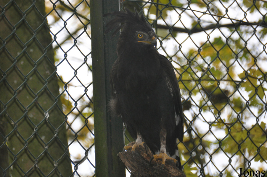 ZooParc de Beauval