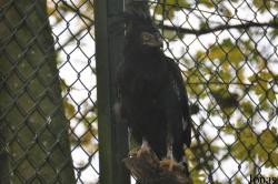 ZooParc de Beauval