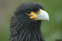 Vogelpark Irgenöd