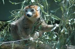 Parc Zoologique et Botanique de Mulhouse