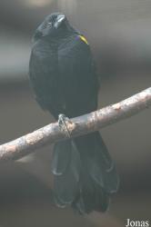 Vogelpark Irgenöd