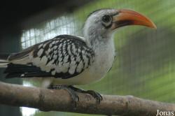 Vogelpark Irgenöd