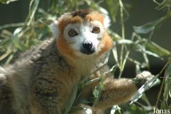 Parc Zoologique et Botanique de Mulhouse