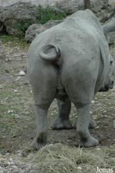 Zoo Schmiding