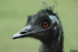 Zoo Schmiding