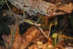 Zoo Schmiding