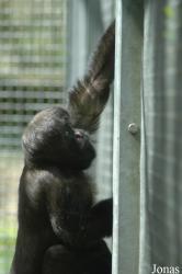 Parc Zoologique et Botanique de Mulhouse