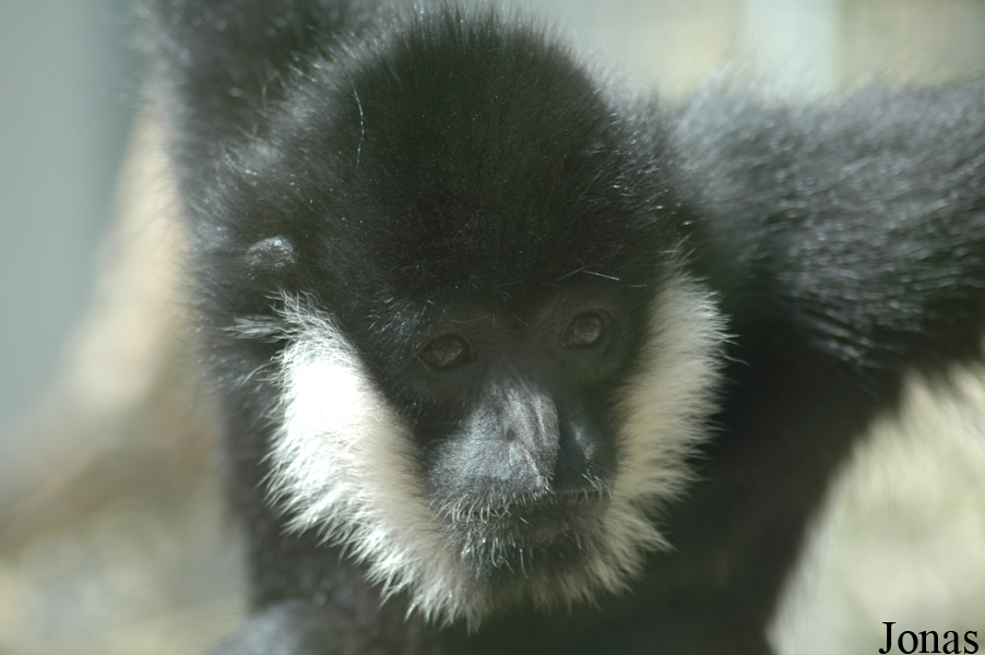 Parc Zoologique et Botanique de Mulhouse