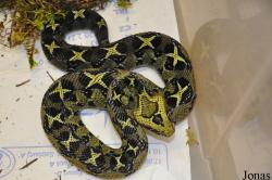 Krokodýlí Zoo Protivín