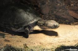 Zoologická Zahrada Ohrada